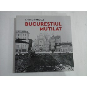 BUCURESTIUL MUTILAT - ANDREI PANDELE